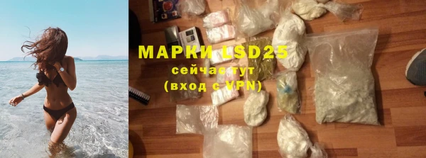 PSILOCYBIN Армянск