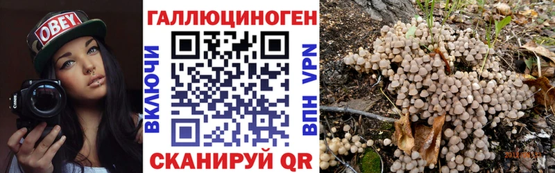 Галлюциногенные грибы Cubensis  Солнечногорск 