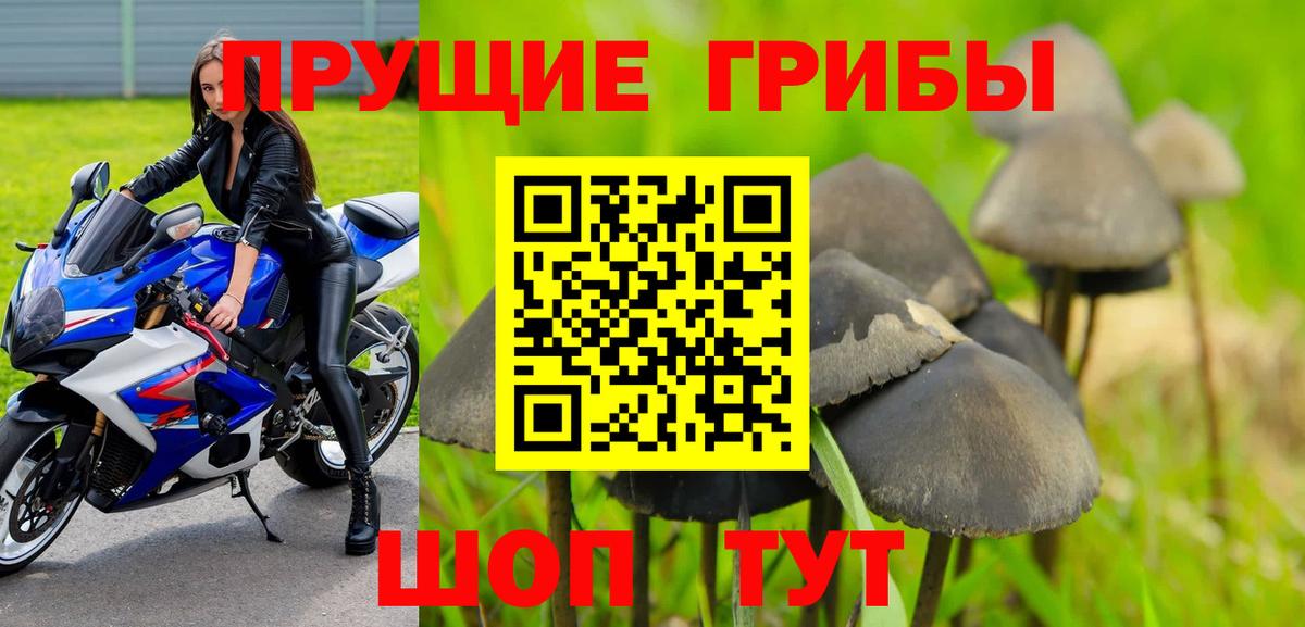 купить   Псилоцибиновые грибы Magic Shrooms  Вход с VPN  Солнечногорск 